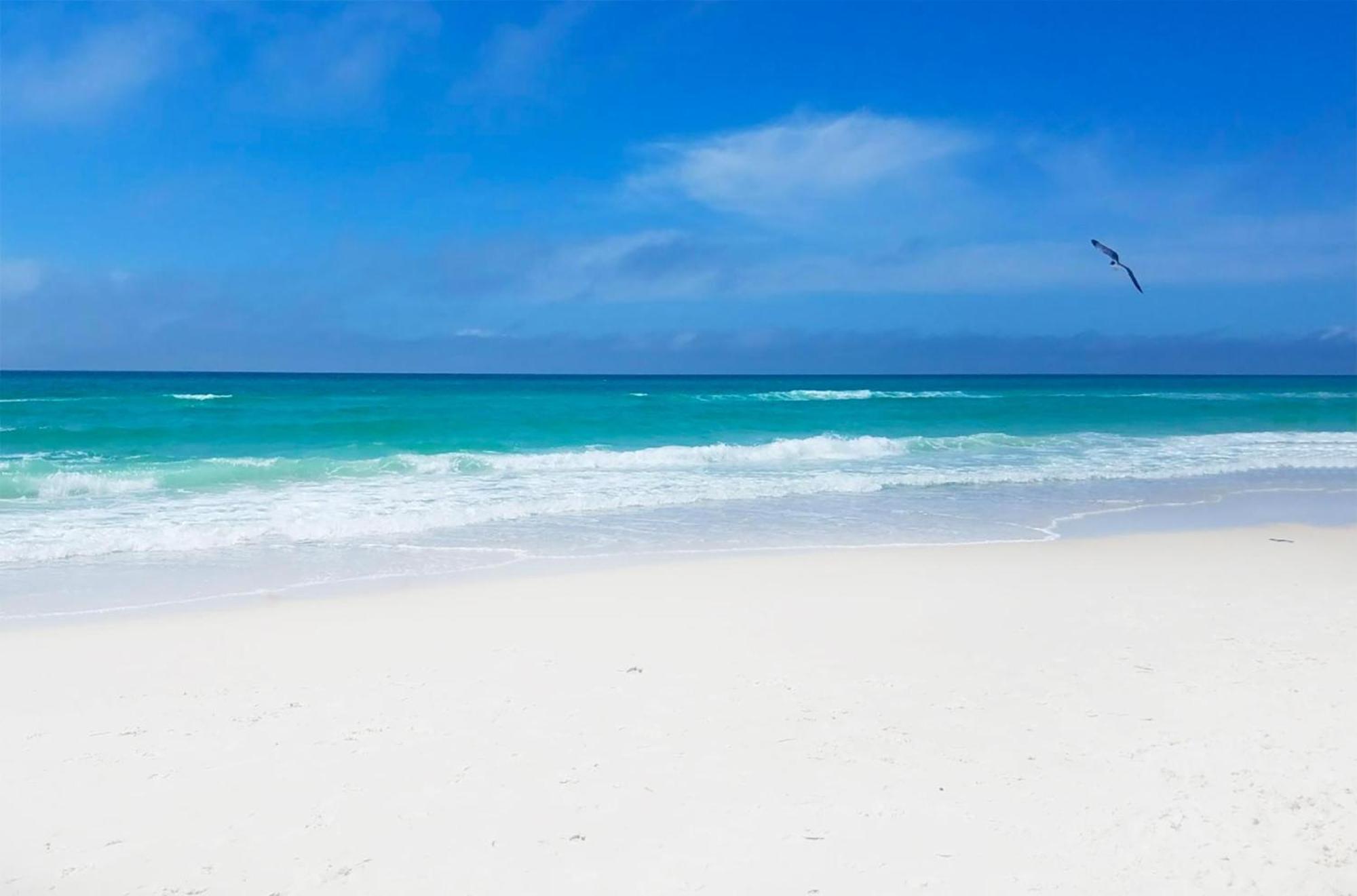 Laketown Wharf 1626 Panama City Beach Εξωτερικό φωτογραφία